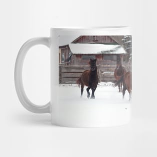 Four horses galloping on winter paddock Mug